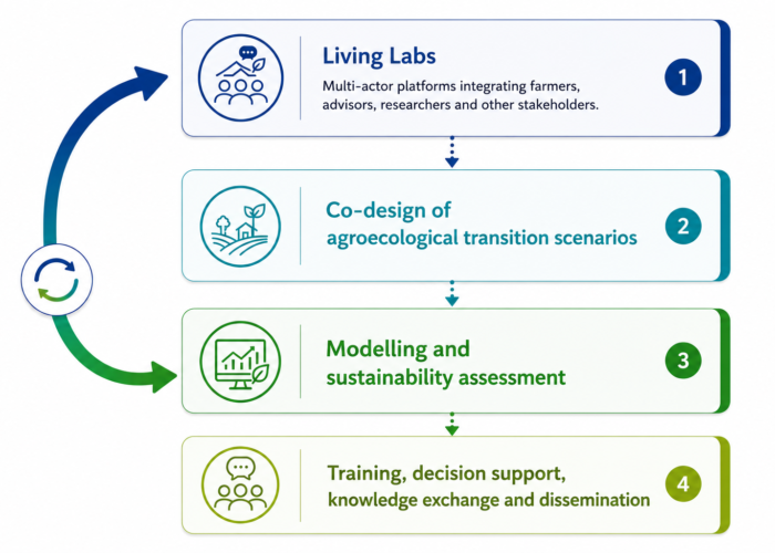 the project graph the project graph